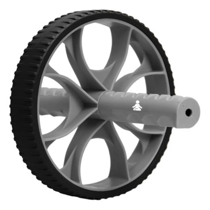 Ab Roller Fitpaddy
