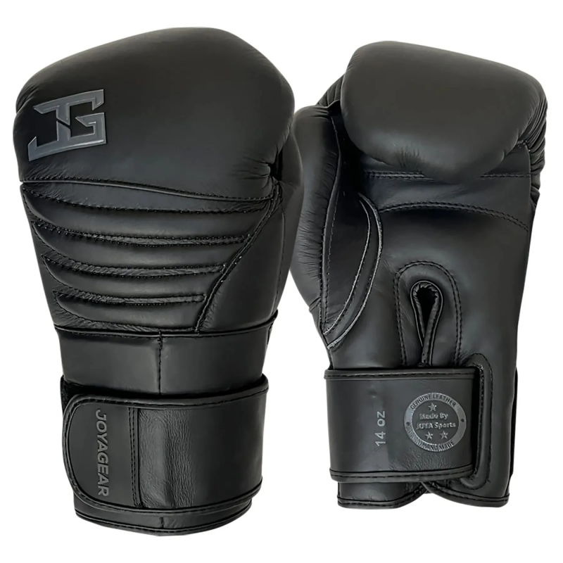 Boxhandschuhe aus Leder Joyagear Falcon