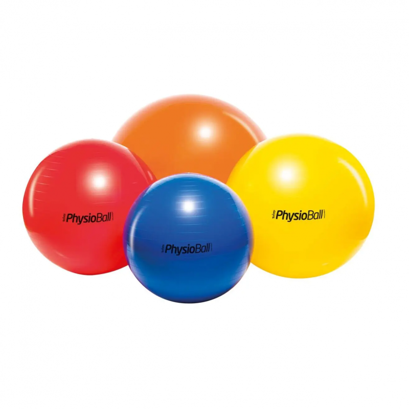 Trainingsball Ledragomma Original Physioball