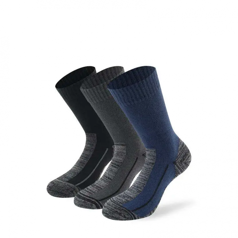 Socken Lenz Performance