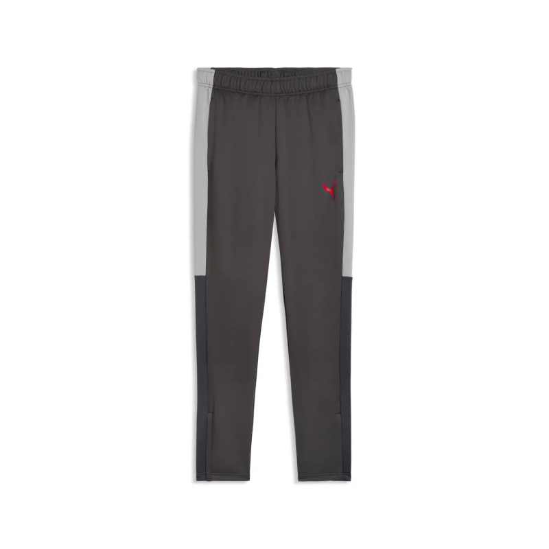 Trainingshose Puma IndividualLiga