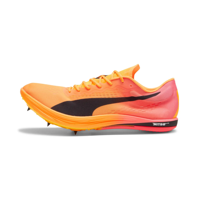 Spikes Leichtathletikschuhe Puma Evospeed Nitro Elite 2