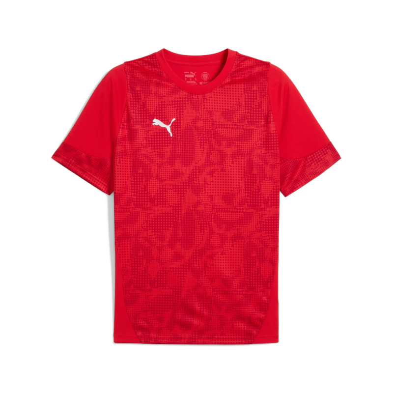 Puma Cup Trainingstrikot