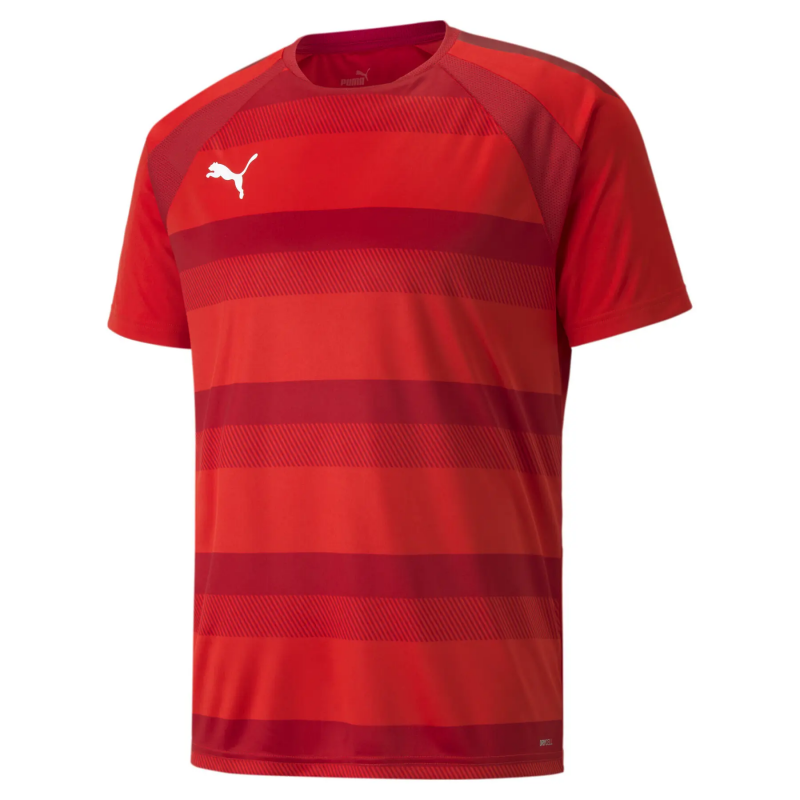 Trikot Puma Team Vision