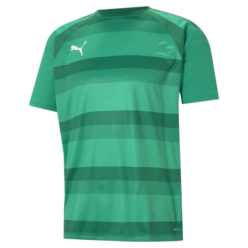 Trikot Puma Team Vision