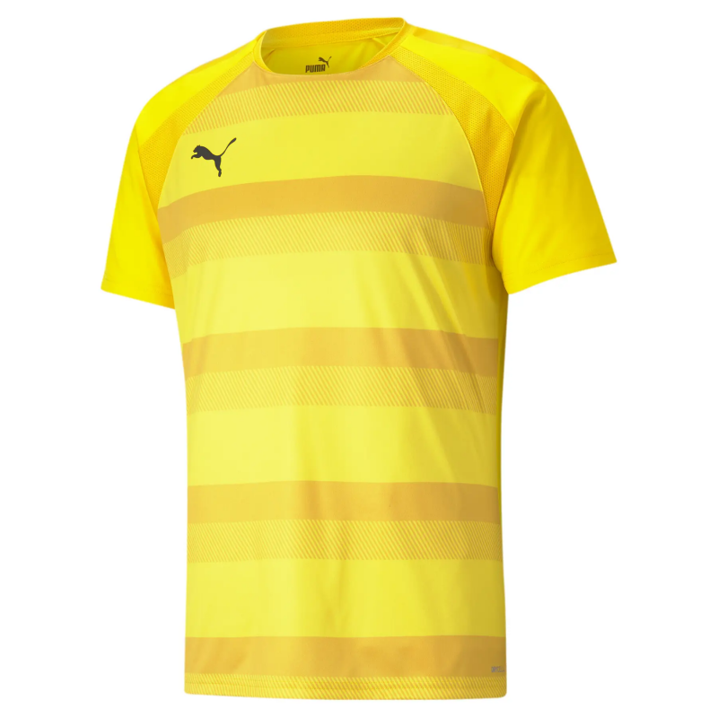 Trikot Puma Team Vision