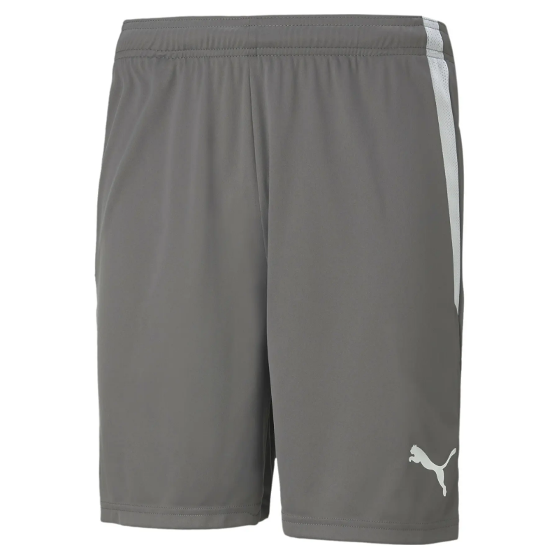 Short Puma Team Liga