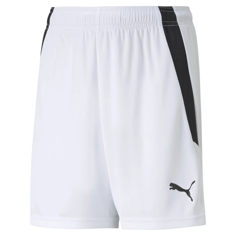 Kindershorts Puma Team Liga