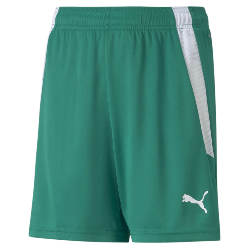 Kindershorts Puma Team Liga