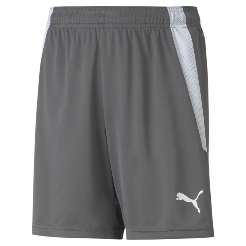 Shorts für Kinder Puma Team Liga