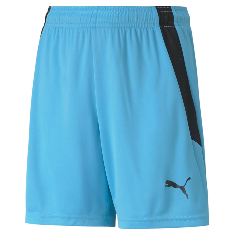 Shorts für Kinder Puma Team Liga