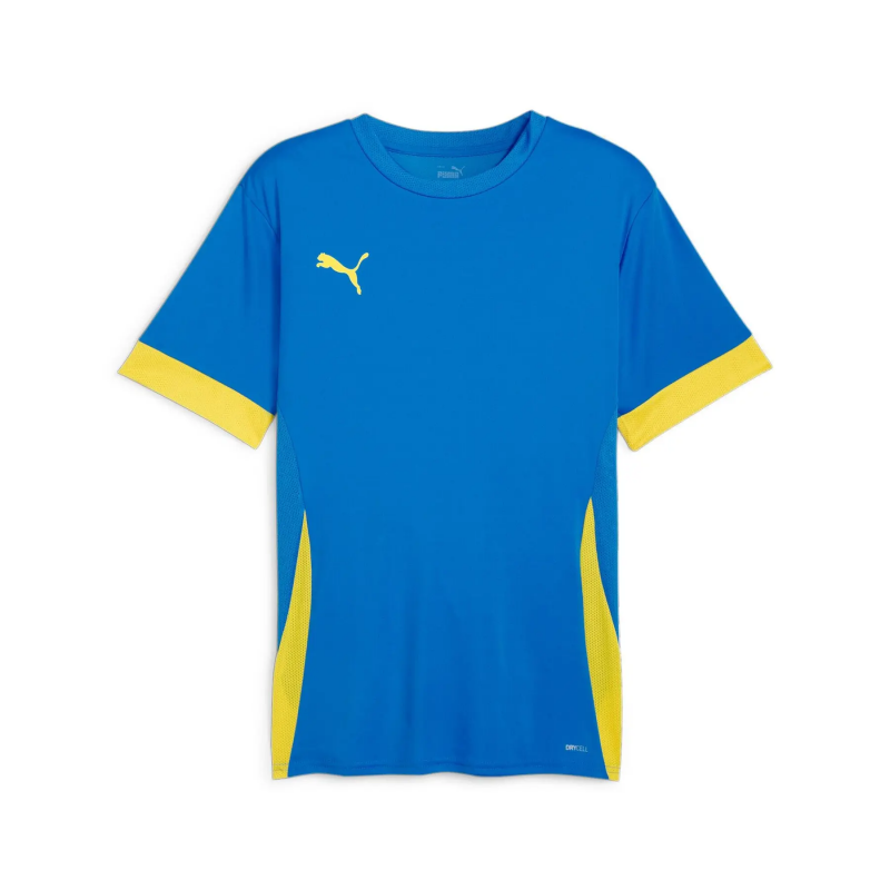 Trikot Puma TeamGoal