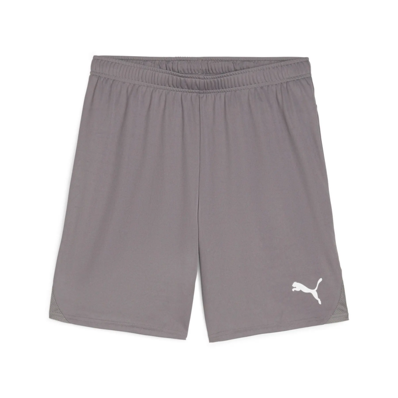 Shorts Puma TeamGloal