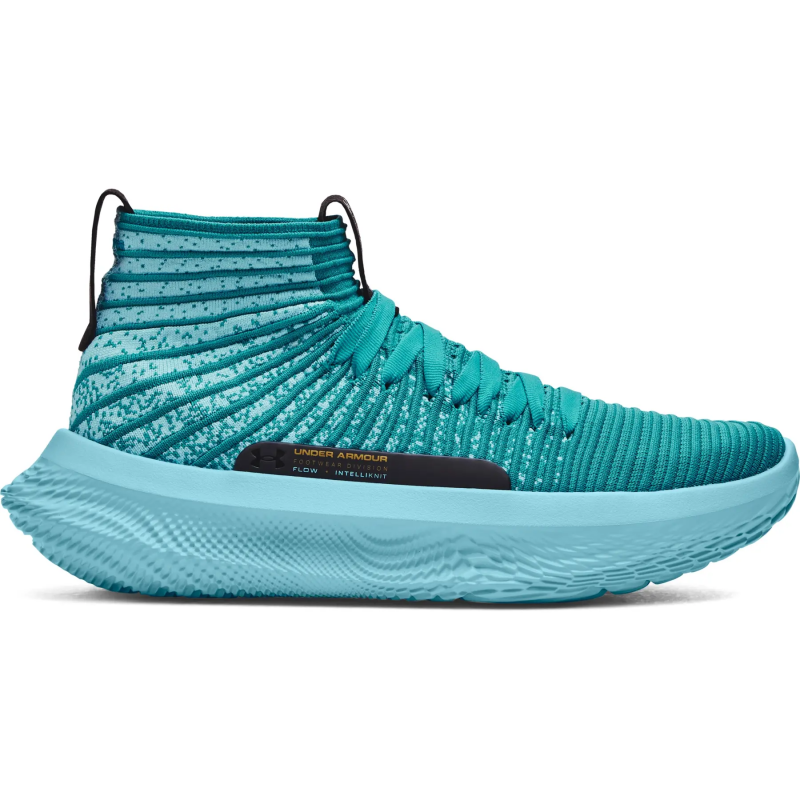 Basketballschuhe Under Armour Flow Futr X Elite