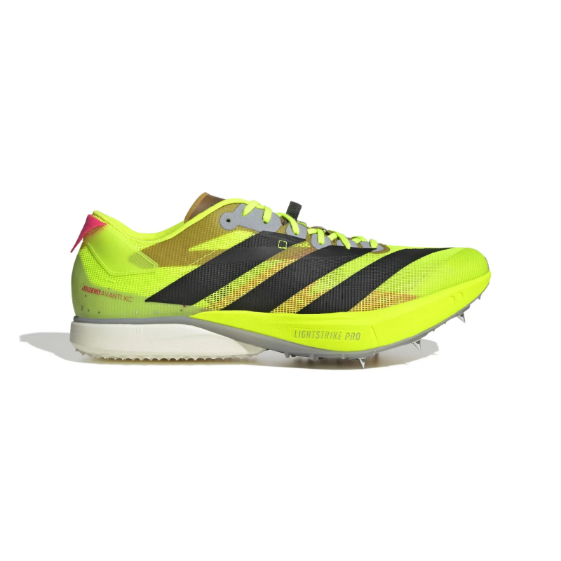Spikes Leichtathletikschuhe adidas Adizero Avanti Xc