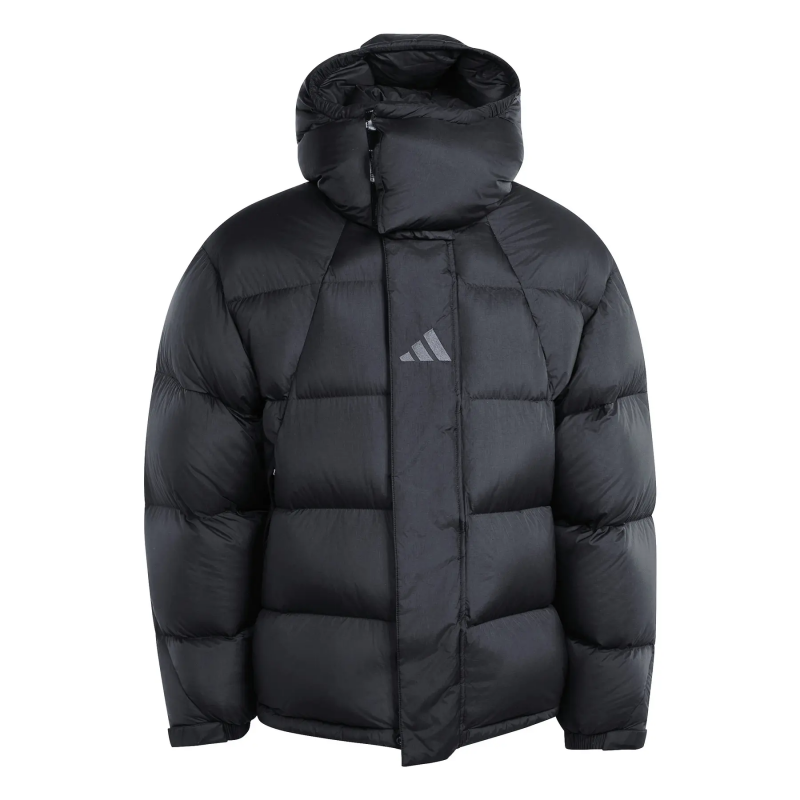 Daunenjacke mit Kapuze adidas Terrex Xploric