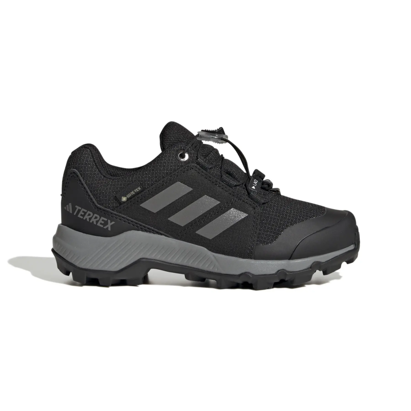 Wanderschuhe adidas Terrex Gore-Tex