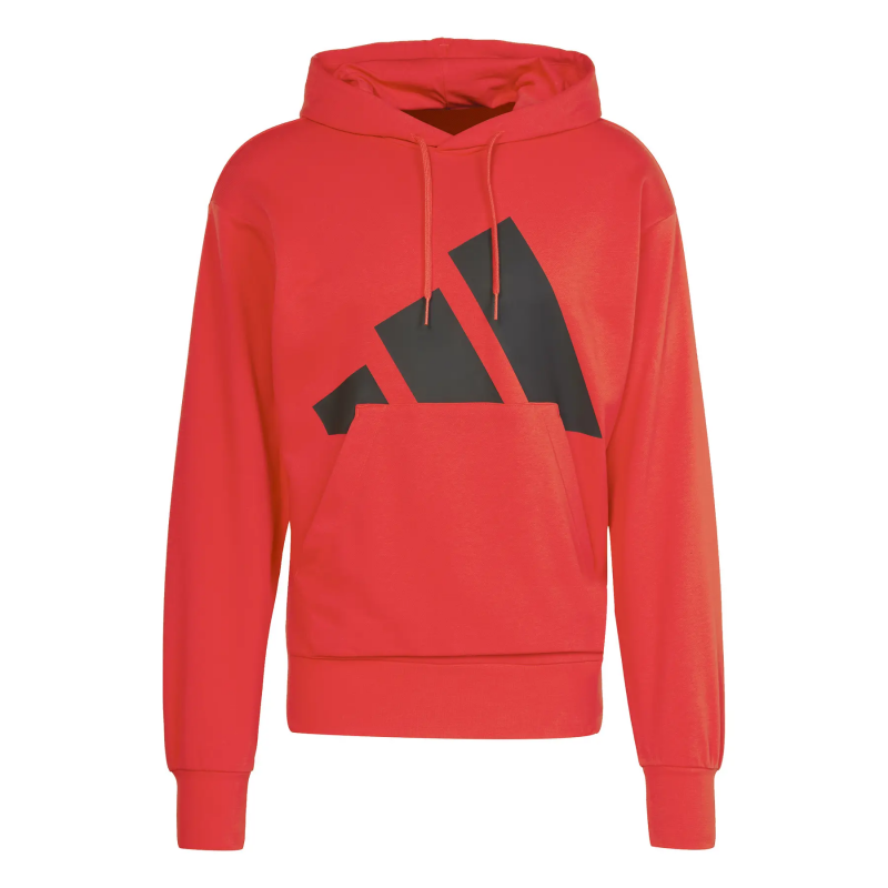 Hoodie adidas Essentials Big Logo