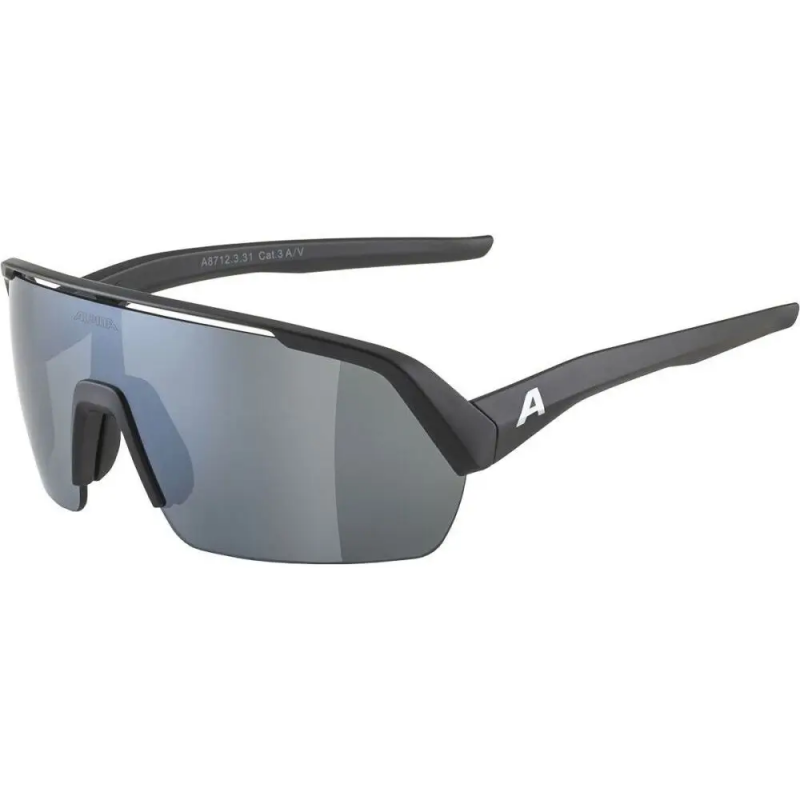 Sonnenbrille Alpina Turbo HR
