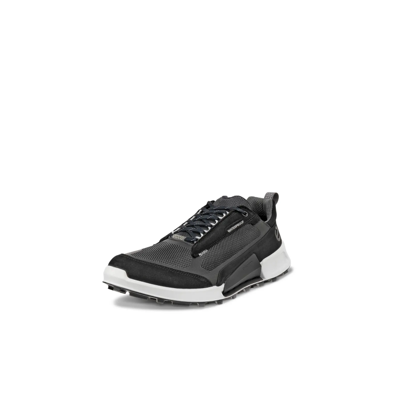 Wanderschuhe Ecco Biom 2.1 X Mountain