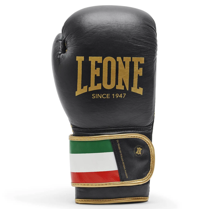 Boxhandschuhe Leone Italy
