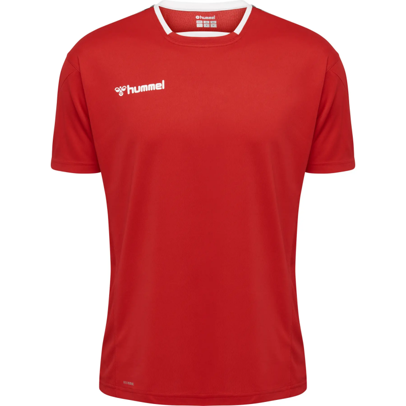 Trikot Hummel hmlAUTHENTIC Poly HML