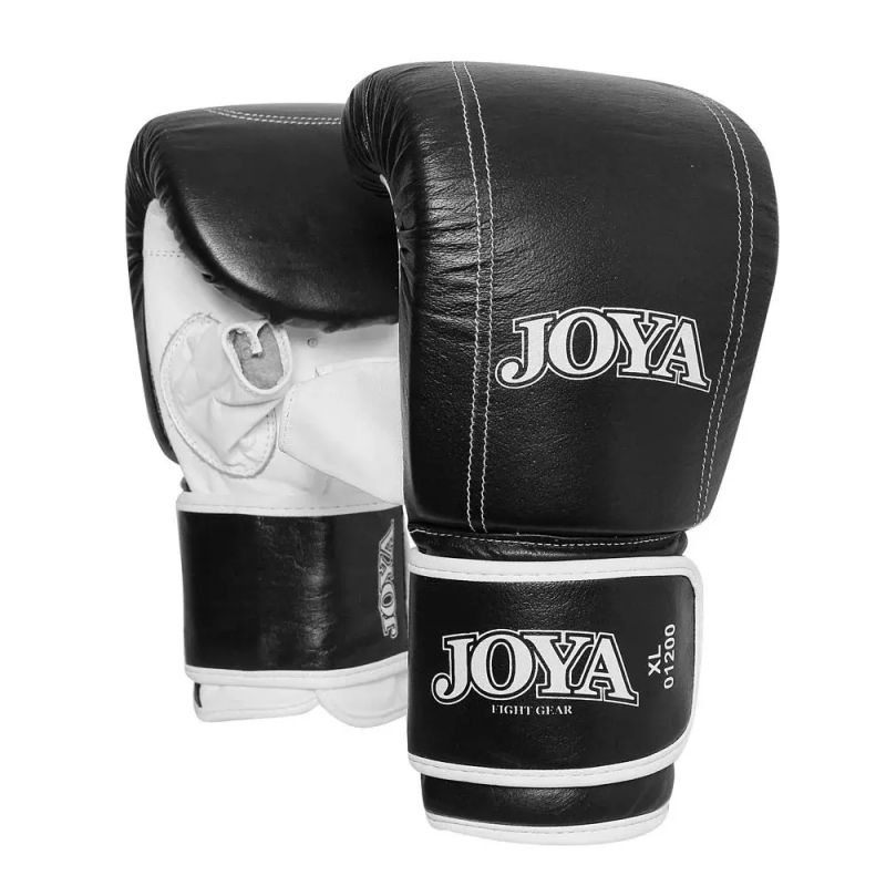 Boxhandschuhe Joyagear Title