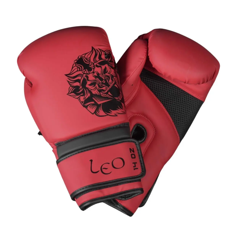 Boxhandschuhe Leo Pattaya