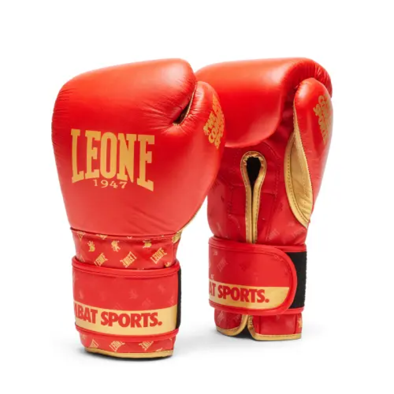 Boxhandschuhe Leone DNA