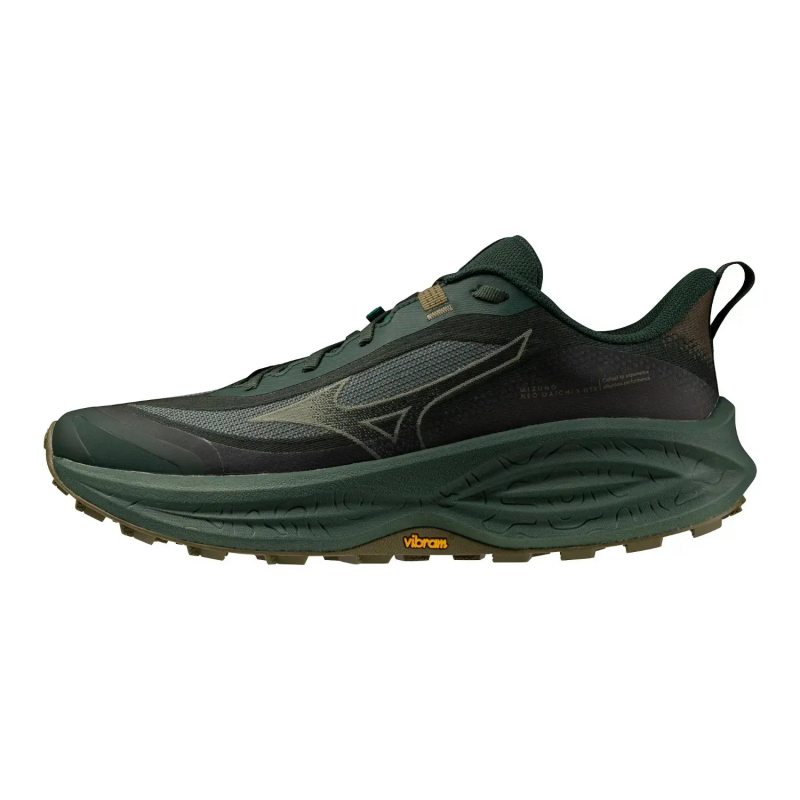 Laufschuhe Mizuno Neo Daichi 10 Gtx