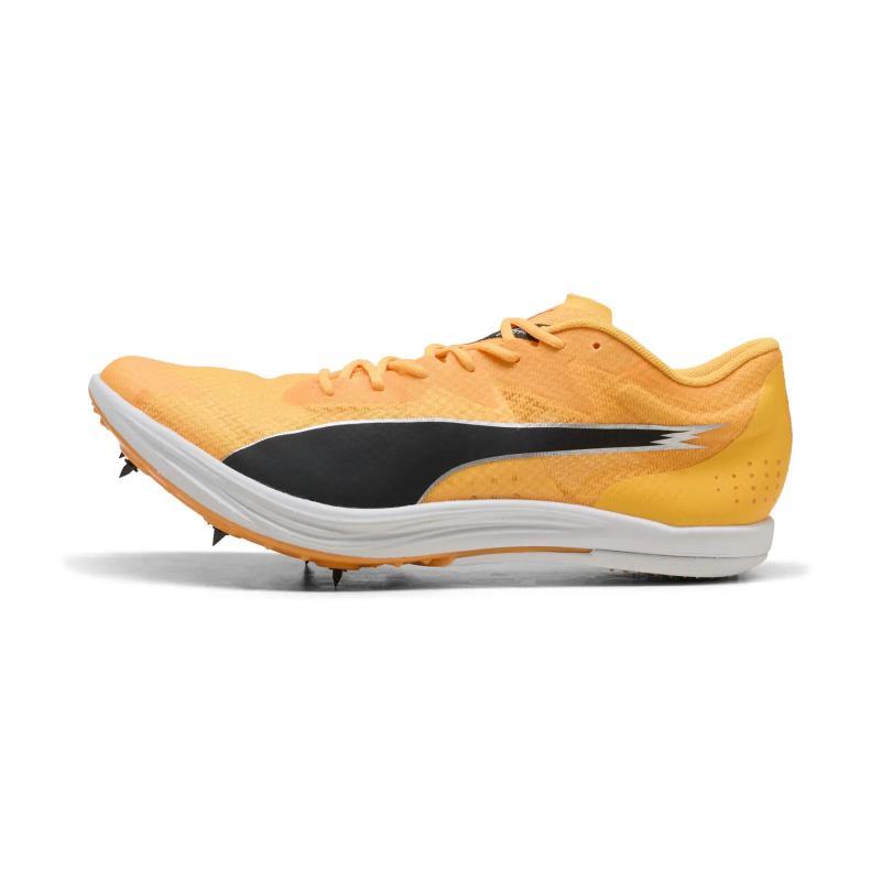 Spikes Leichtathletikschuhe Puma Evospeed