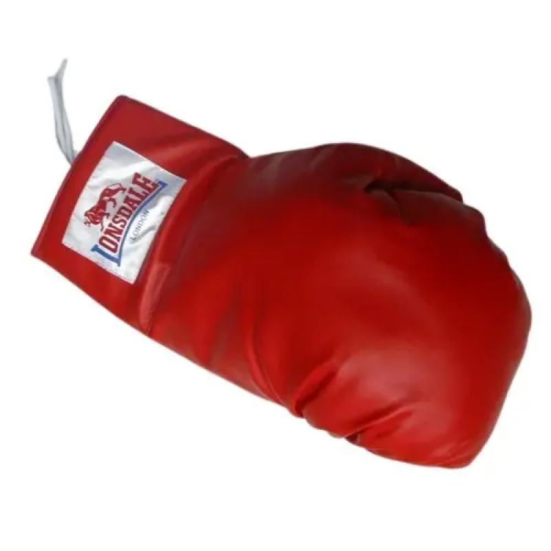 Boxhandschuhe Benlee Lonsdale