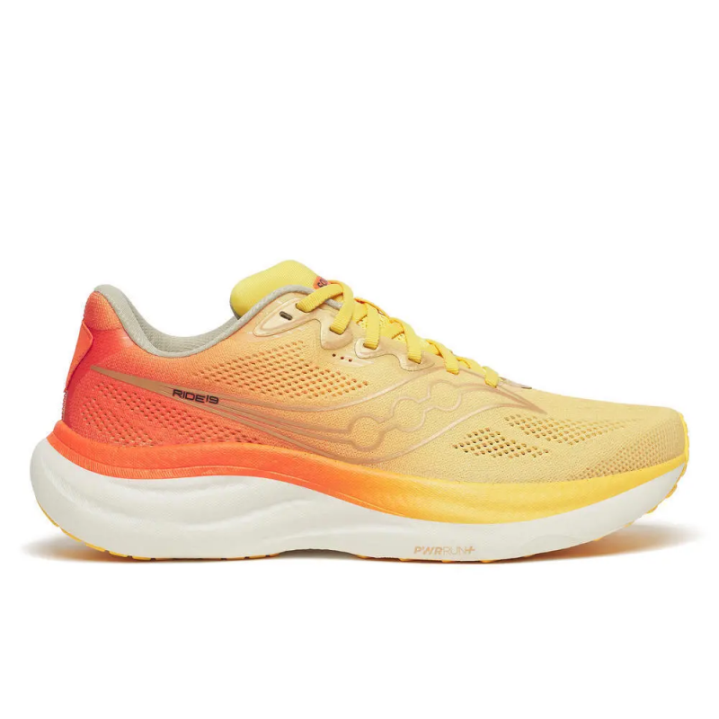 Laufschuhe Saucony Ride 19