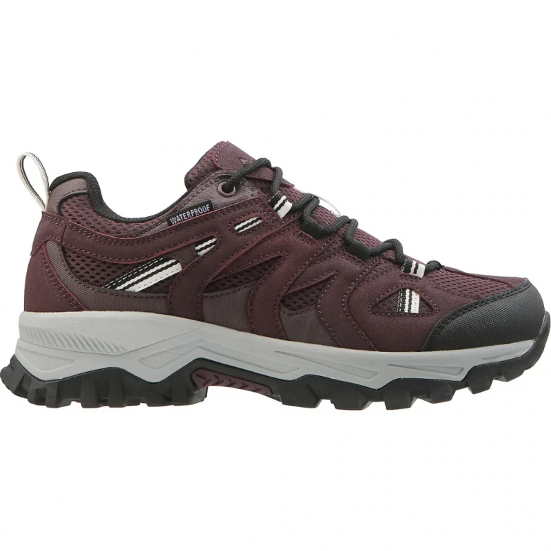 Damen-Wanderschuhe Whistler Terx