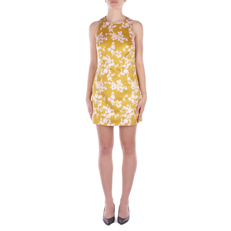 Elisabetta Franchi Kleider Curry