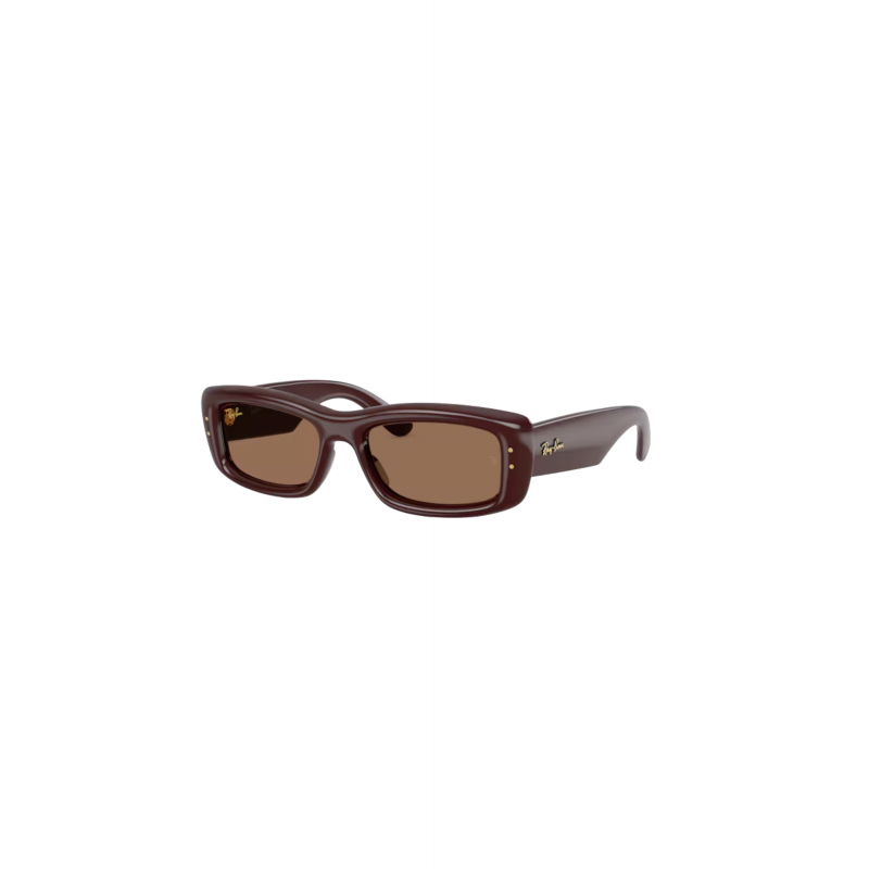 Sonnenbrillen Ray-ban 0RB4944-687773 Erwachsene Unisex