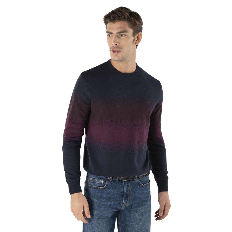 Blaue Hemden von Harmont & Blaine