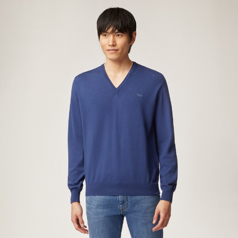 Blaue Hemden von Harmont & Blaine