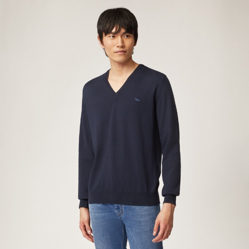 Blaue Hemden von Harmont & Blaine