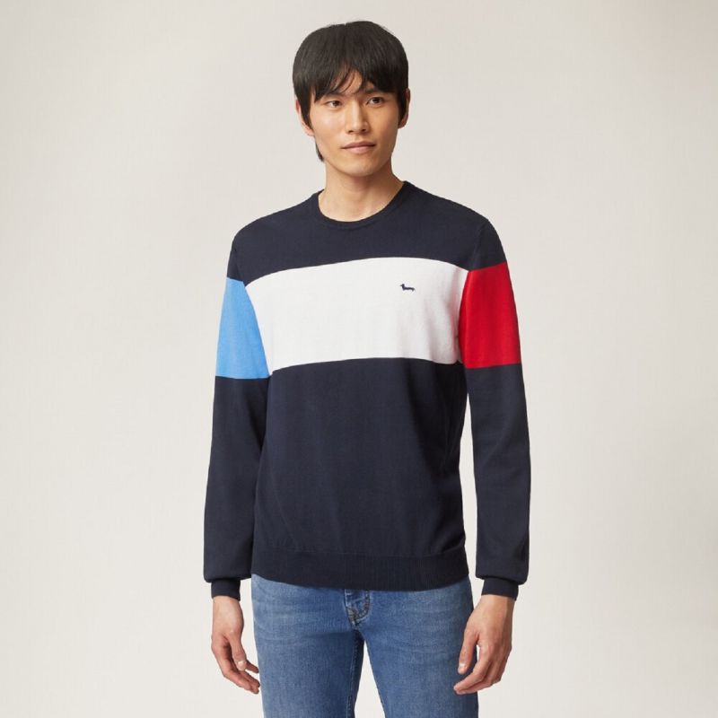 Blaue Hemden von Harmont & Blaine