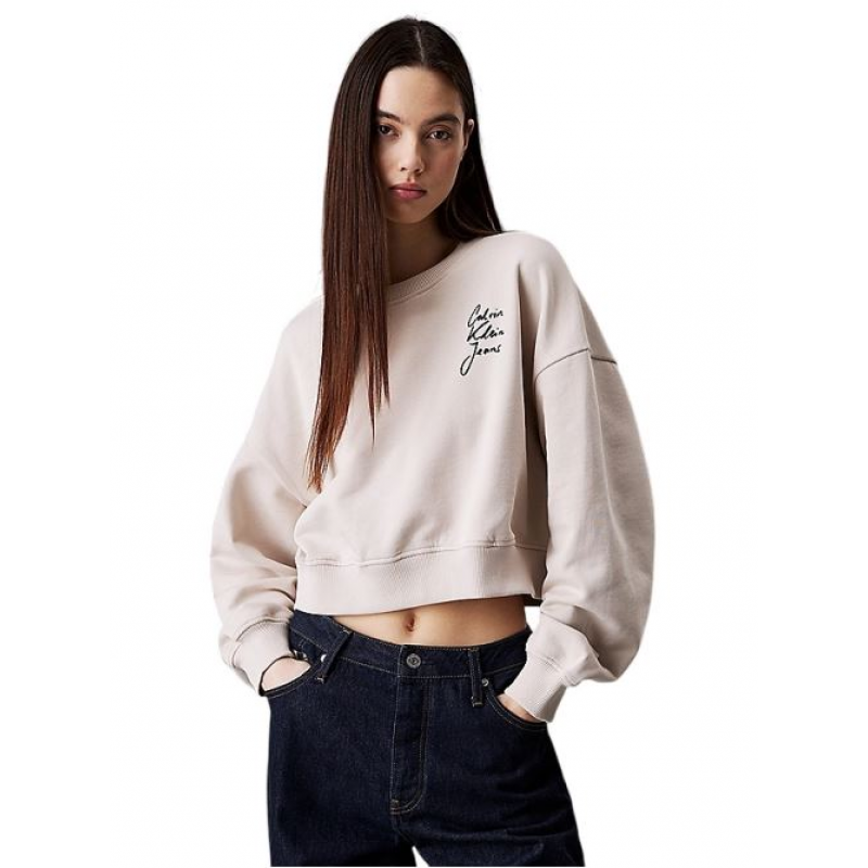 Calvin Klein Shirts Grau