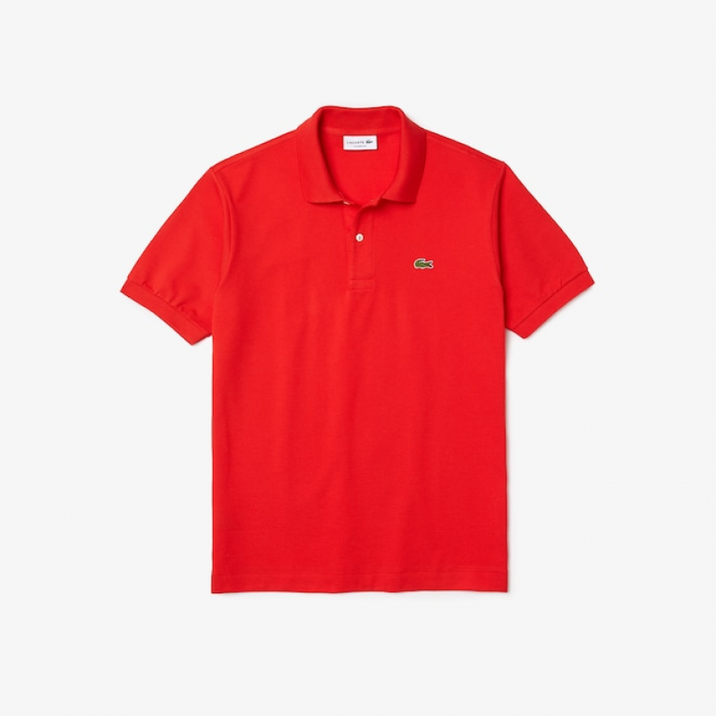 Lacoste T-Shirt und Polo Rosso