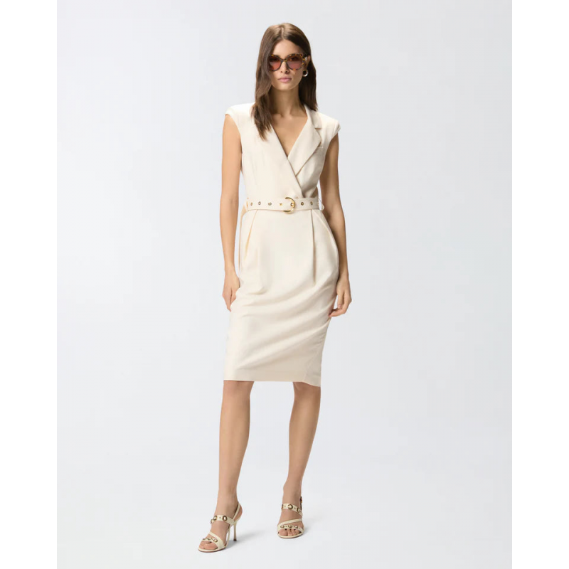 Pinko amadine frisottino Kleid ss26