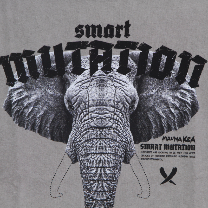 Herren-T-Shirt „Elephant Tee Stone Washed Dusty Grey“.