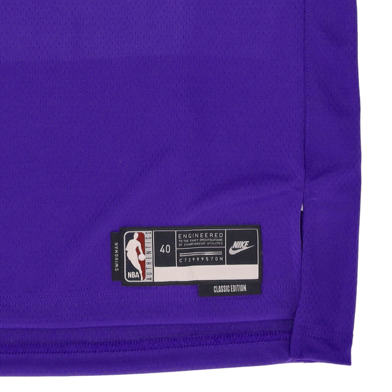 Herren-Basketball-Tanktop Nba 22 Dri-Fit Swingman-Trikot Hardwood Classics Nr. 34 Giannis Antetoukounmpo Milbuc Field Purple