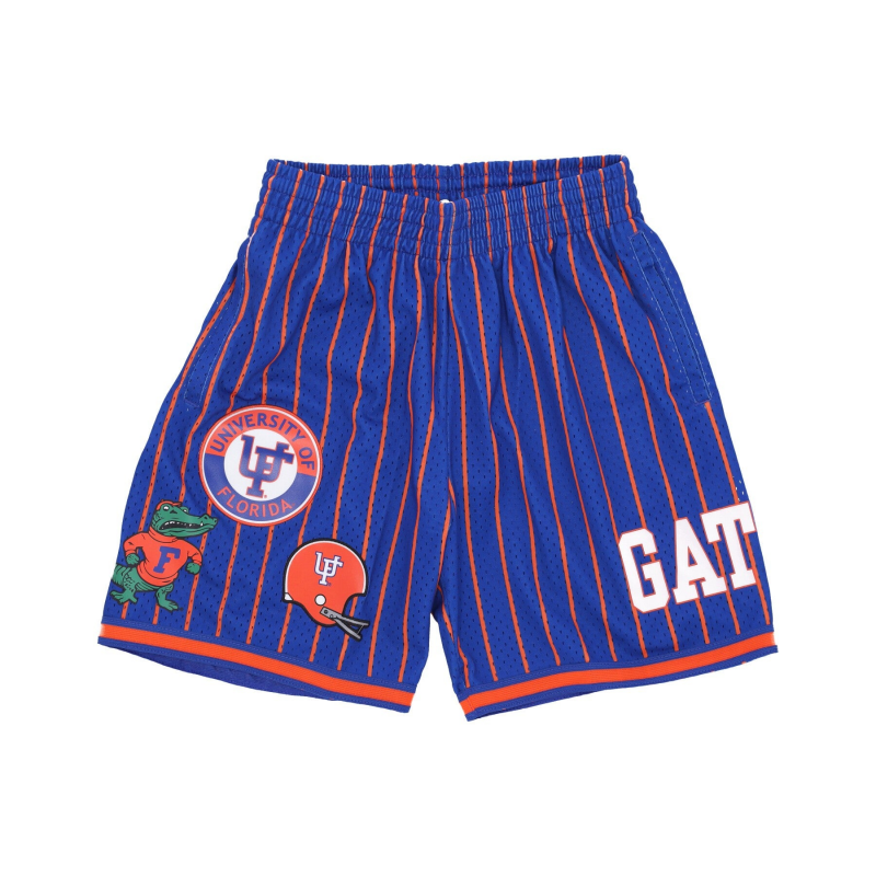 Herren-Basketballshorts NCAA Hometown Mesh Short Flogat Royal
