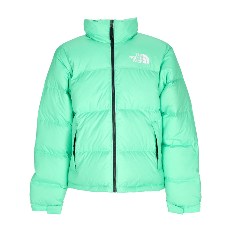 Herren Daunenjacke 1996 Retro Nuptse Chlorophyll Green
