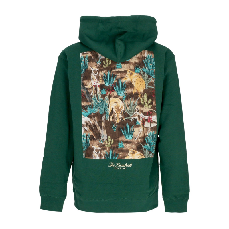 Wander Pullover Herren Kapuzenpullover Dunkelgrun