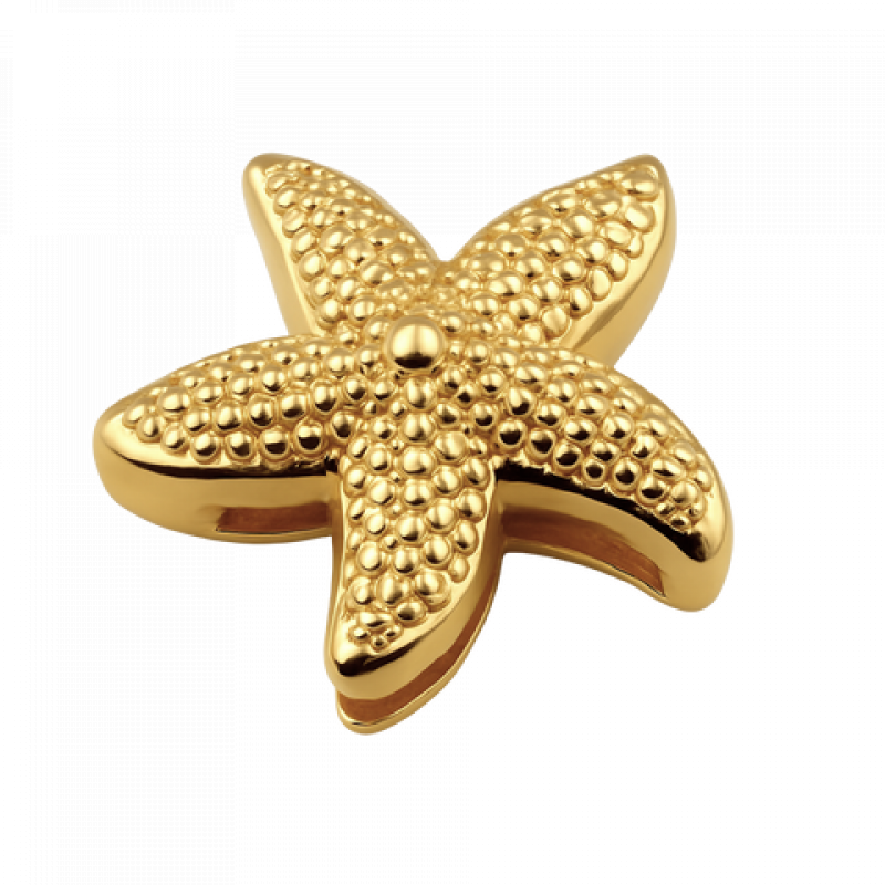Heideman Charm Seestern : Gold