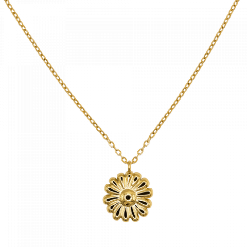 Heideman Damen Kette Moa : Gold – Bild 1 von 2